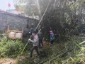 石龙镇新凤村：干群同心砍杂竹 共绘乡村新画卷