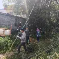 石龙镇新凤村：干群同心砍杂竹 共绘乡村新画卷