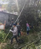 石龙镇新凤村：干群同心砍杂竹 共绘乡村新画卷